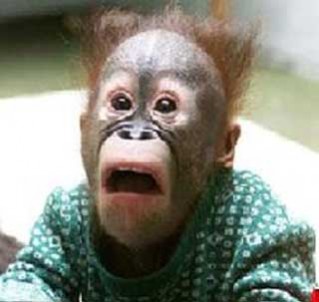 MONKEY
