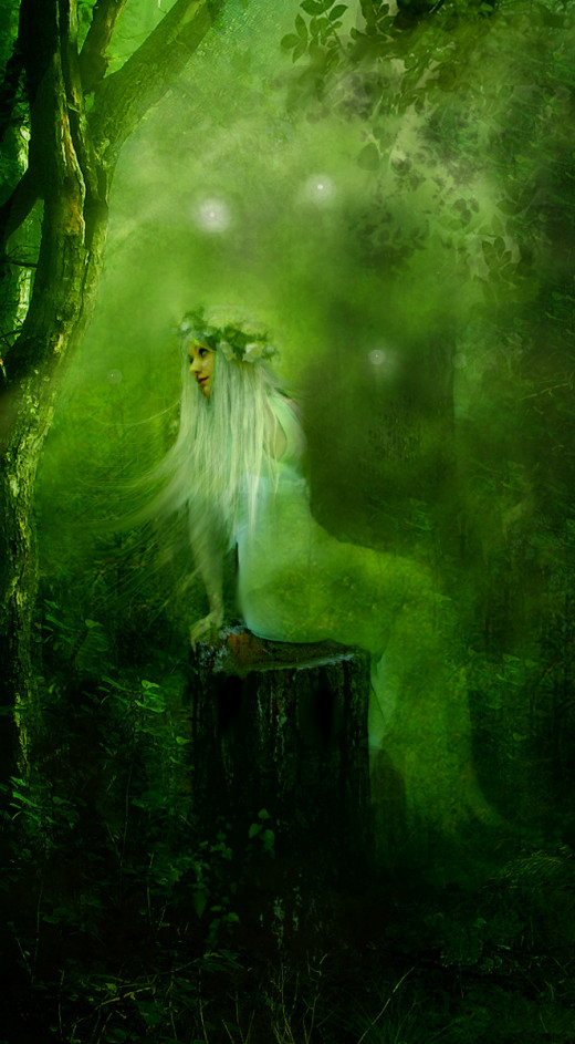 From Deviant art elf_in_mirror provided this beautiful forest sprite. While it is not directing me to leave the forest, it sends telepathic words for me to go away.
