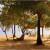 Green Parrot Beach House and Resort, Maya Beach Green Parrot Beach House and Resort, Maya Beach