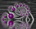 What are Fractals? How is Maths Used to Make Art?