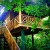 Hamanasi treehouse Hamanasi treehouse