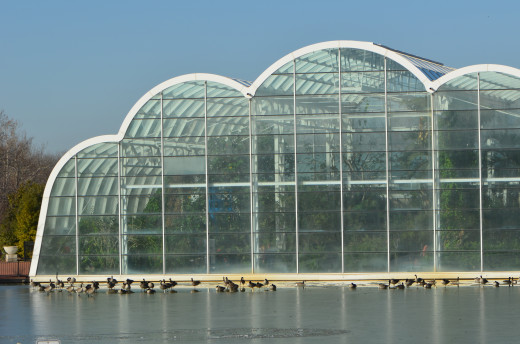 This is a view of the outside of the butterfly conservatory.  This was in winter, as you can see the ducks are sitting on top of the frozen water!  
