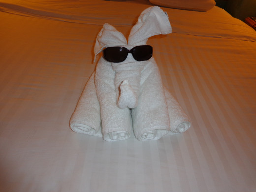 Nightly Towel Animals Are Left in Your Room