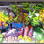 Saturday markets, San Ignacio Saturday markets, San Ignacio
