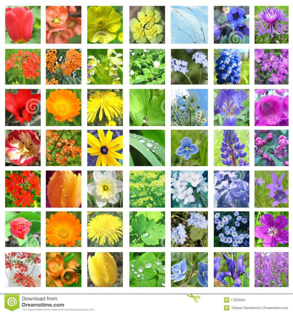 Do You Know What Your Birth Flower Is?