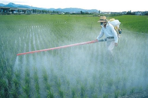 If the technician has to suit up this much just to spray the chemical on the crop, then what is it doing down the line to field workers, food handlers and you, the consumer?
