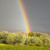 Montana Rainbow Montana Rainbow