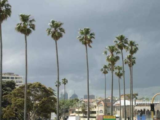 The city from St Kilda