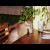 Shot drinking kitteh sitting at the bar at Il Terrazo. You can find him there on the same stool, every night at six. Shot drinking kitteh sitting at the bar at Il Terrazo. You can find him there on the same stool, every night at six.