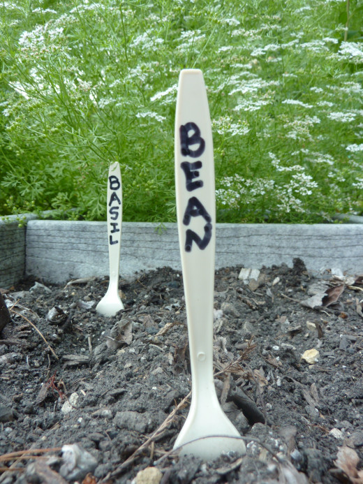 Keep plastic utensils out of the landfill for one more year by turning them into plant markers.