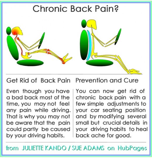 Cure and Prevent Back and Neck Pain From Driving HealDove