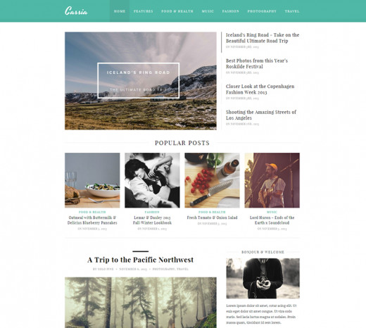 $45 - WordPress Theme For Magazine Website