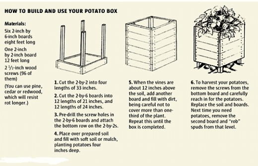 You can easily grow potatoes like in the potato grow box in the photo. Just follow the instructions and build your own potato grow box. 