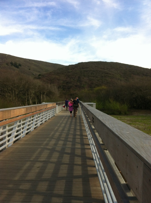 From the parking lot, take the bridge, across the nature preserve, to the short tails that leads to the beach.  If you turn left at the end of the bridge, you can hike the coastal trail through the Marin Headlands. 