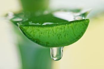Aloe gel