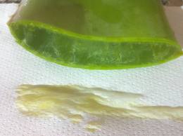 aloin taken out from aloe leaf