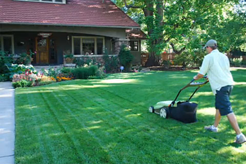 Clean the Lawn