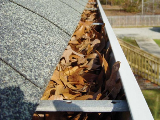 Clean the Gutter