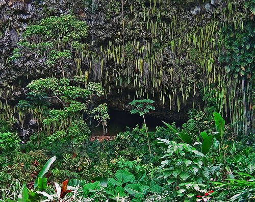 Fern Grotto