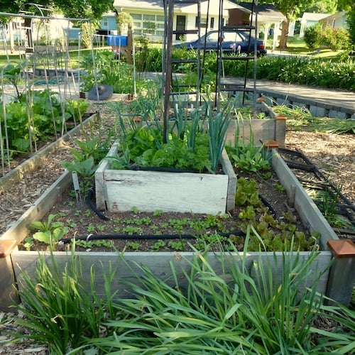 Get a jump on the garden season and stretch it for a couple more weeks with raised beds.