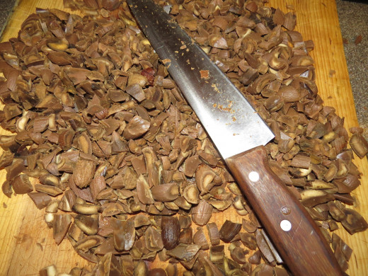 Chopping acorns