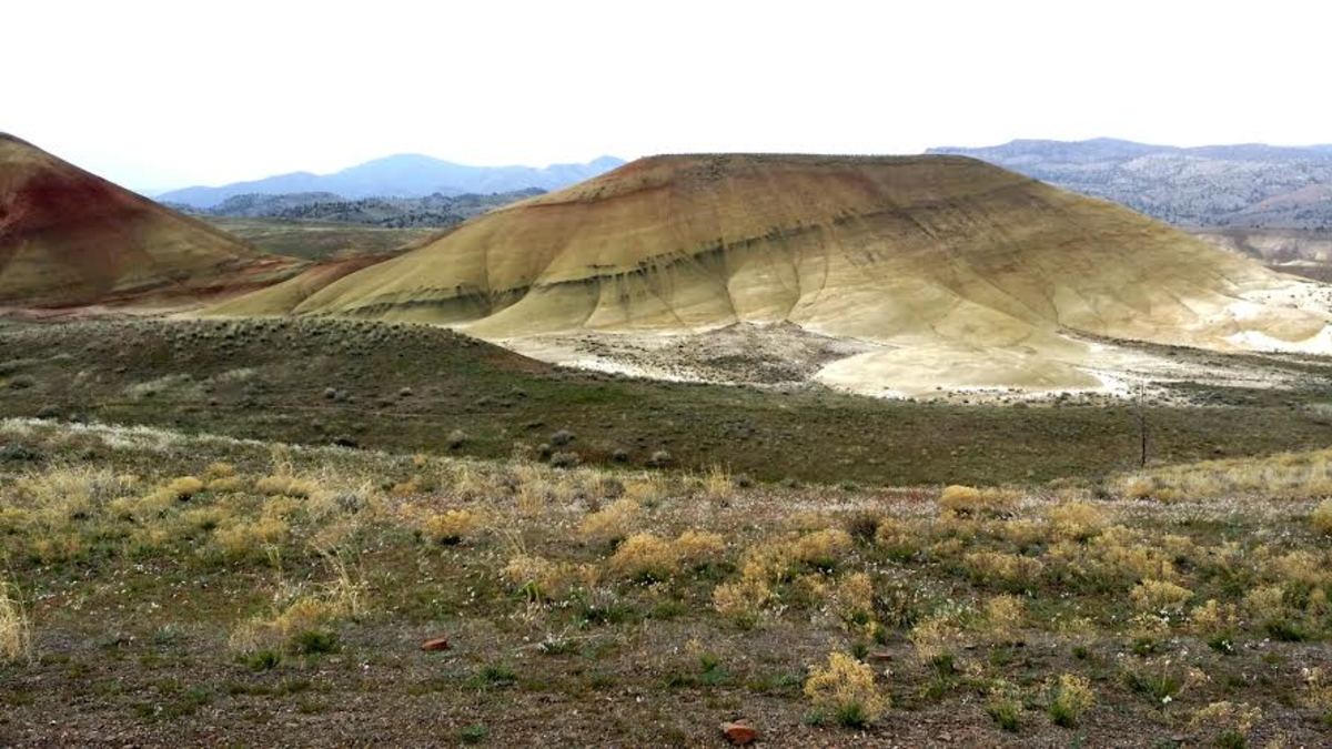 One of many beautiful "Painted Hills" in the National Monument near Mitchell, Oregon