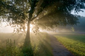 Support for end-of-life caregivers 