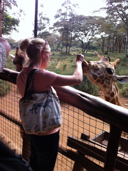 Feeding the giraffes