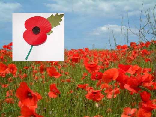 Poppy.
