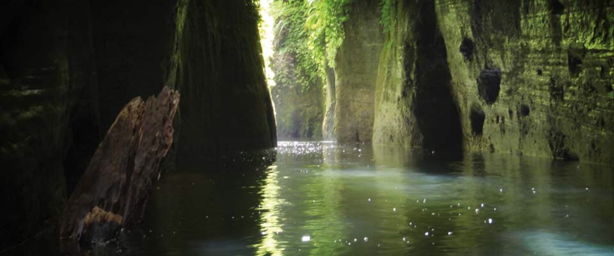 The Whanganui River - ruapehu.com