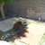 Bella and Maggie watch from the one shady spot in our back yard.