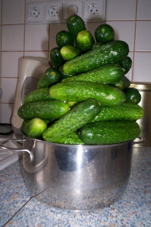 Cucumbers are versatile and nutritious.