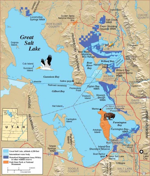 CLICK TO ENLARGE -- Area attractions included.