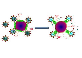 Purple oval is the bumper, round purple is the nanoparticle, green is melittin, virus is the round with spikes.