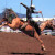 bronco saddle riding bronco saddle riding