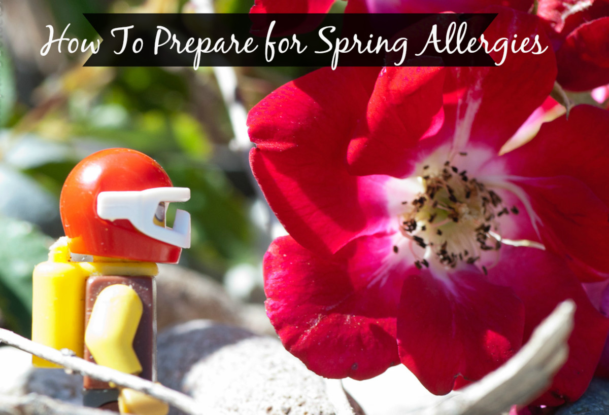 How To Prepare For Spring Time Allergies