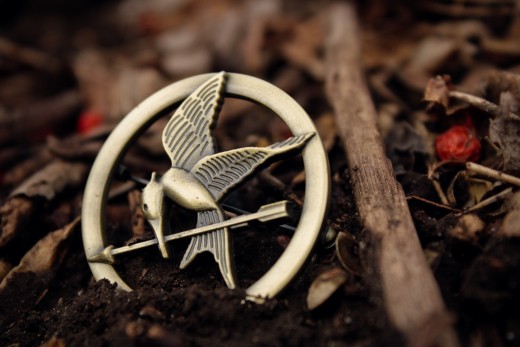 Katniss' pin, the mockingjay