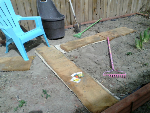 The soil has been turned and the stalks have been worked into the soil. The cardboard weed barrier has been placed beneath the carpet strips.