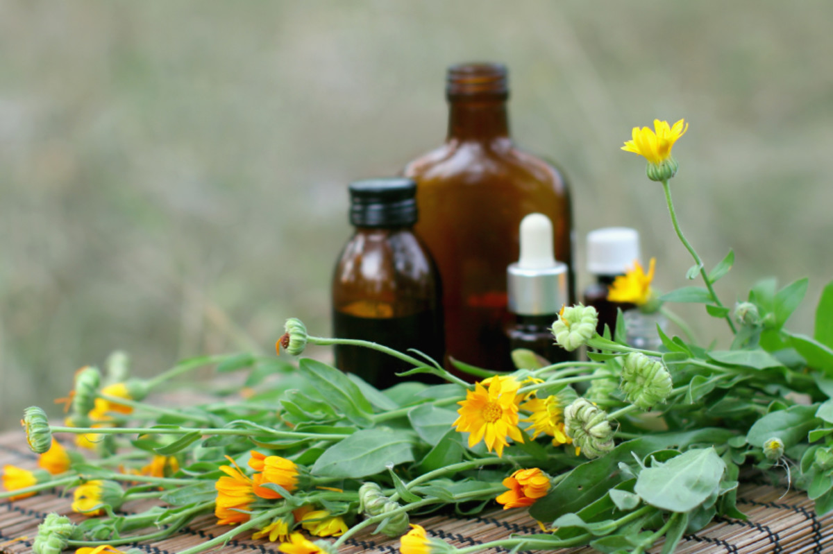 Homemade Herbal Tinctures