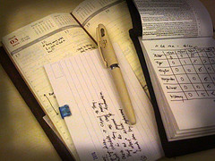 Maintain Daily Expense Diary