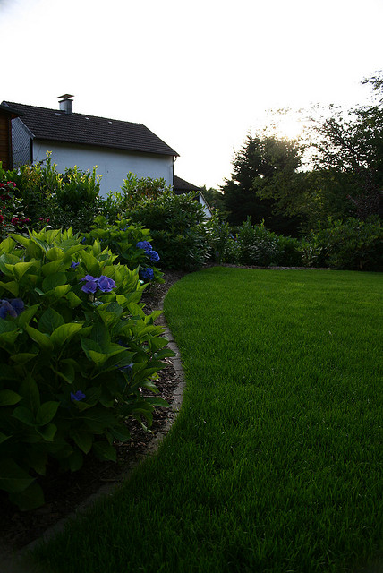 Gardening can help in saving money