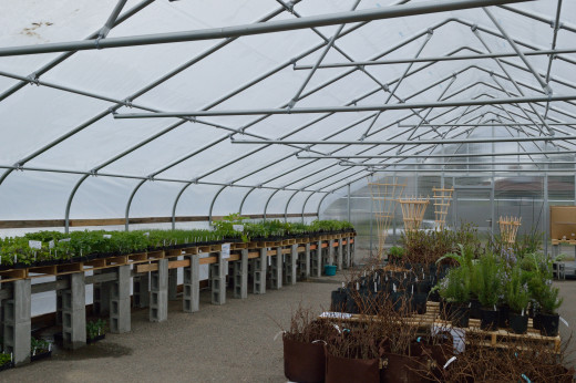 One of many greenhouses in the Olympia area