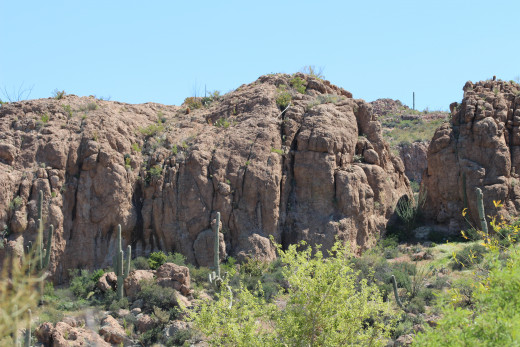 Stunning buttes offer a breathtaking backdrop for the arboretum.