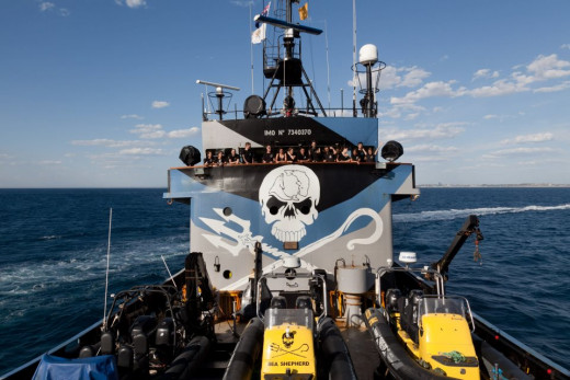 A Sea Shepherd anti-whaling team. 