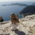 My little friend enjoying the view from the top of EZE. My little friend enjoying the view from the top of EZE.