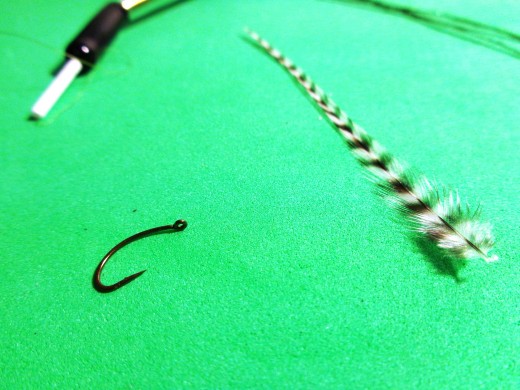 Closer view of the Caddis Hook and Grizzly Hackle