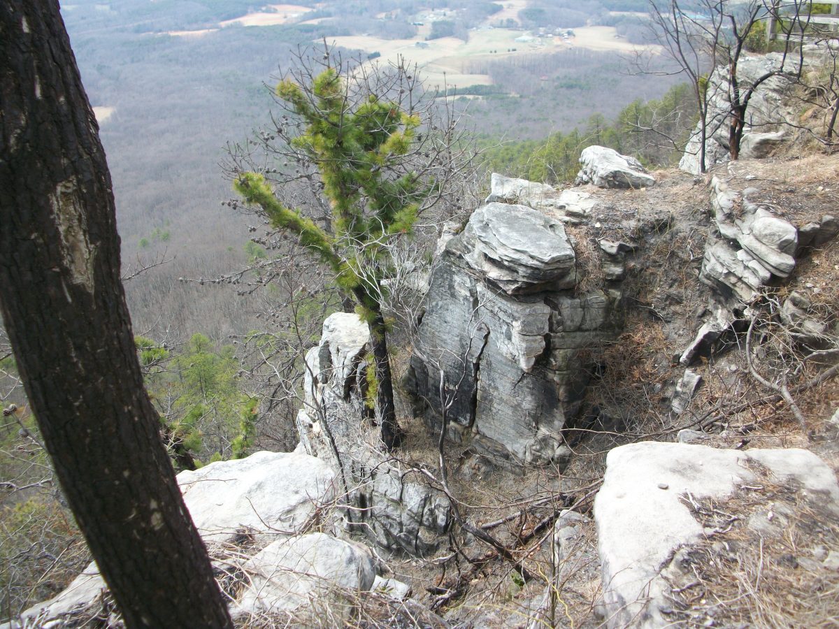 View from the Little Pinnacle Overlook