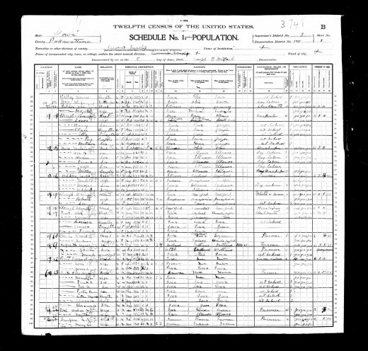 I found my great-great-grandfather on this census record after searching for his sister.