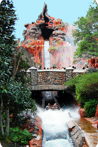 A five story+ drop provides a refreshing finale to Magic Kingdom's Splash Mountain experience.