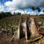 Images of deforestation Images of deforestation